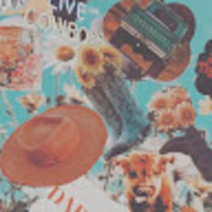 Meet your Posher, Gracie